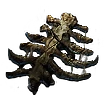 Angenagte Rippe